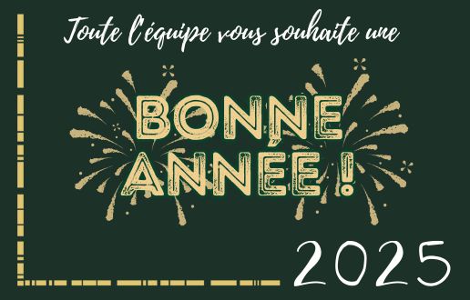 Bonne année 2025 Bonne année 2025
