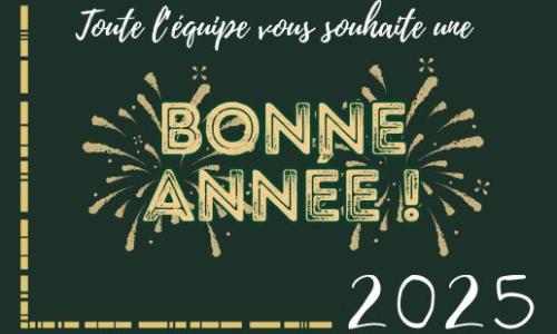 Bonne année 2025
